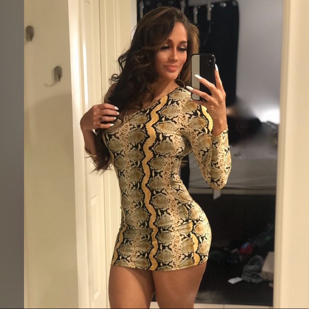 Sexy snake print dress